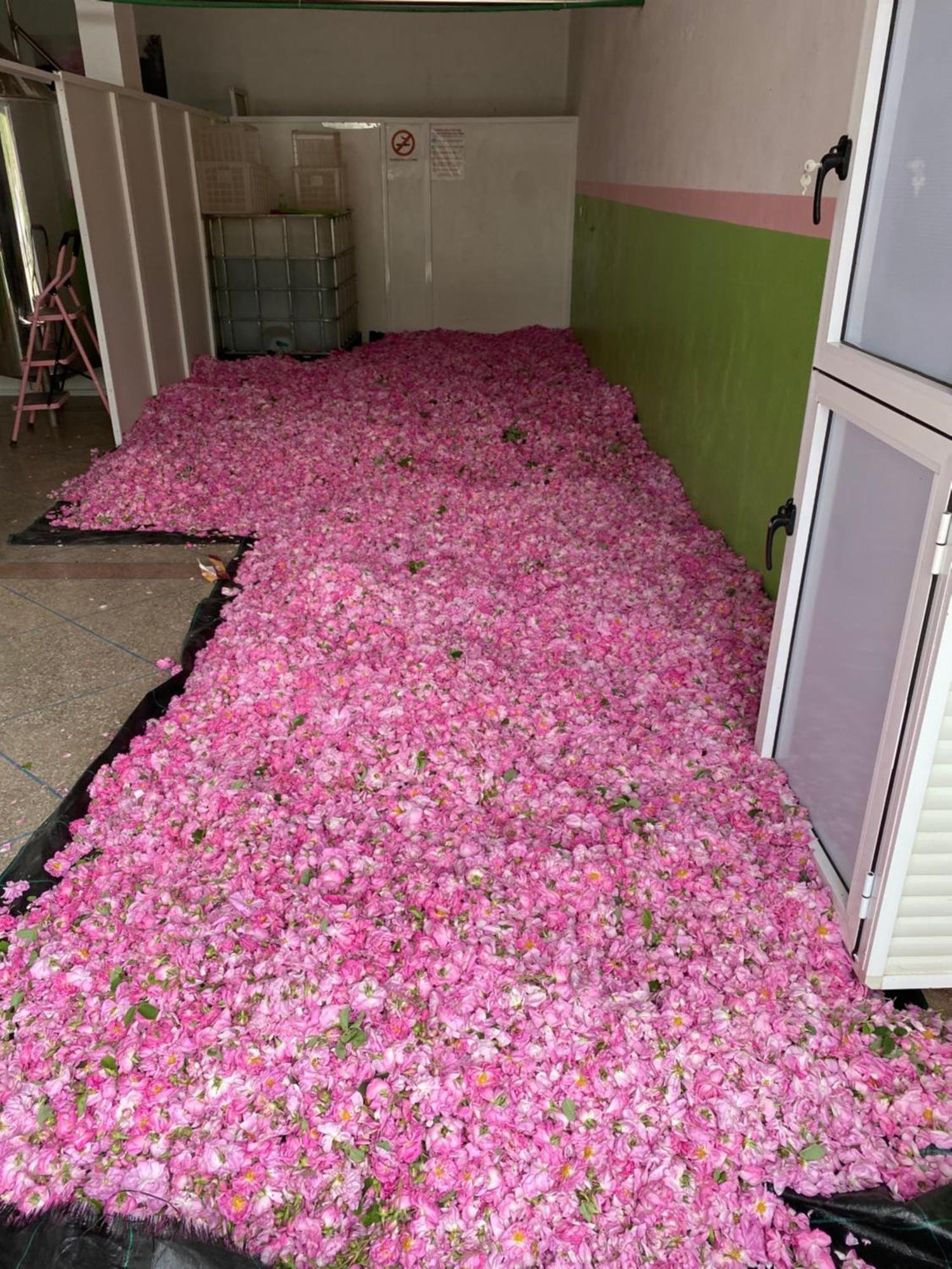 Dar Mgouna Roses Kelaat-M'Gouna Eksteriør billede